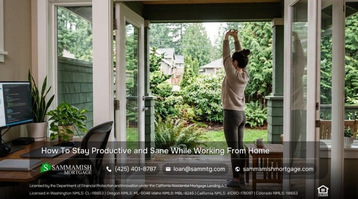 How To Stay Productive and Sane While Working From Home