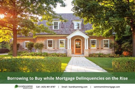 Buying while Mortgage Delinequencies are on the rise