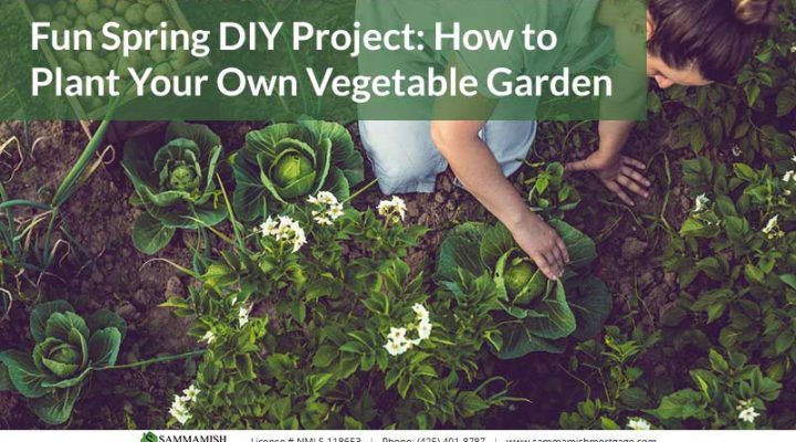 Fun Spring DIY Project: How to Plant Your Own Vegetable Garden
