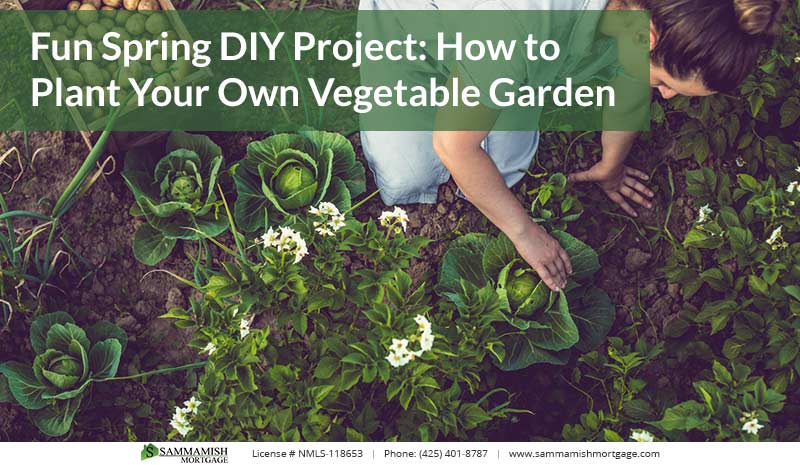 Fun Spring DIY Project: How to Plant Your Own Vegetable Garden