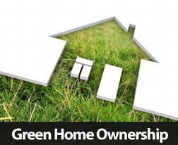 Green Home Benefits