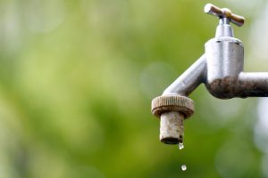 Green Living: Tips For Conserving Water During Spring