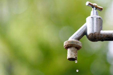 Green Living Water Saving Tips for Spring