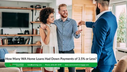 How Many WA Home Loans Had Down Payments of