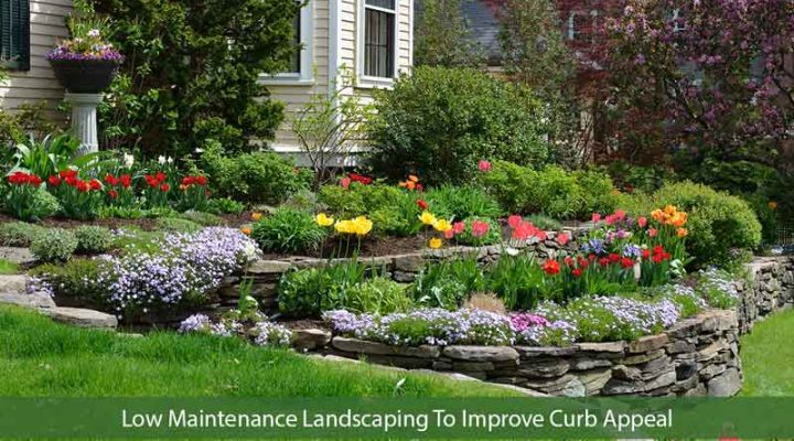 Low Maintenance Landscaping To Improve Curb Appeal