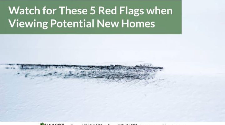 Watch For These 5 Red Flags When Viewing Potential New Homes