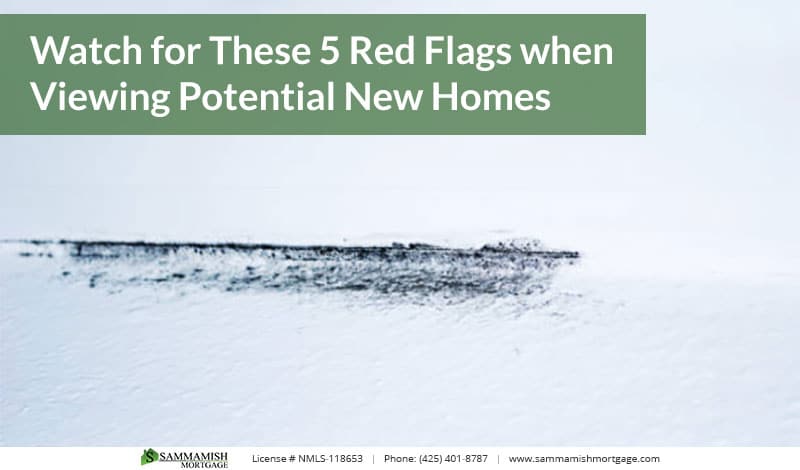 Watch For These 5 Red Flags When Viewing Potential New Homes