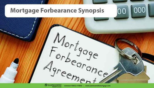 An Overview of Mortgage Forbearance