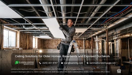 Ceiling Solutions for Older Homes, Basements and Exposed Ductwork